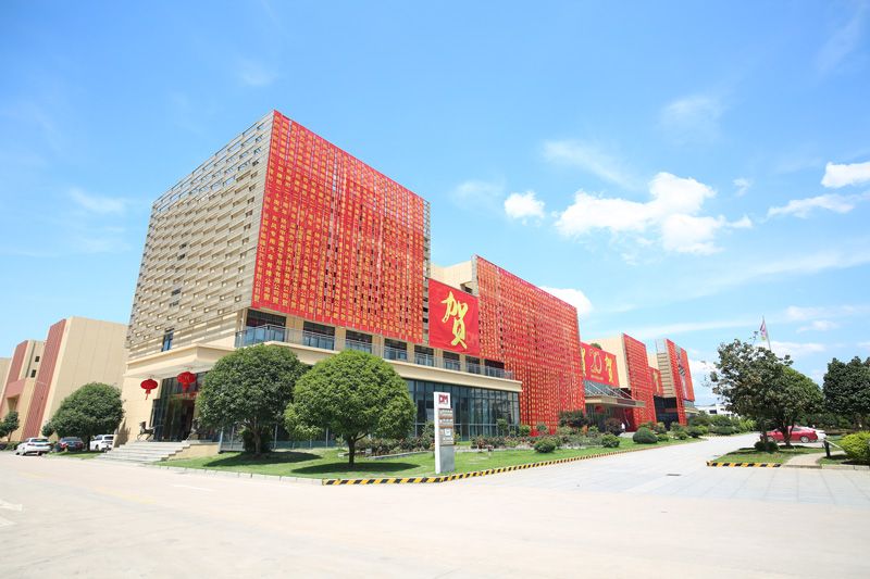 明星企业必一运动光学逆袭之路