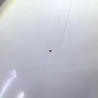 华威绿色生产3