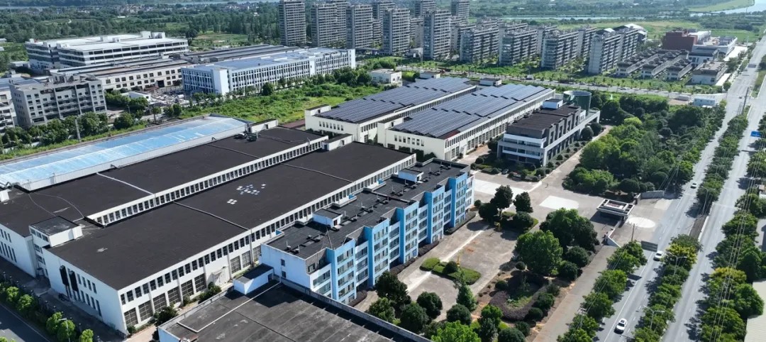 龙游必一运动新质料7